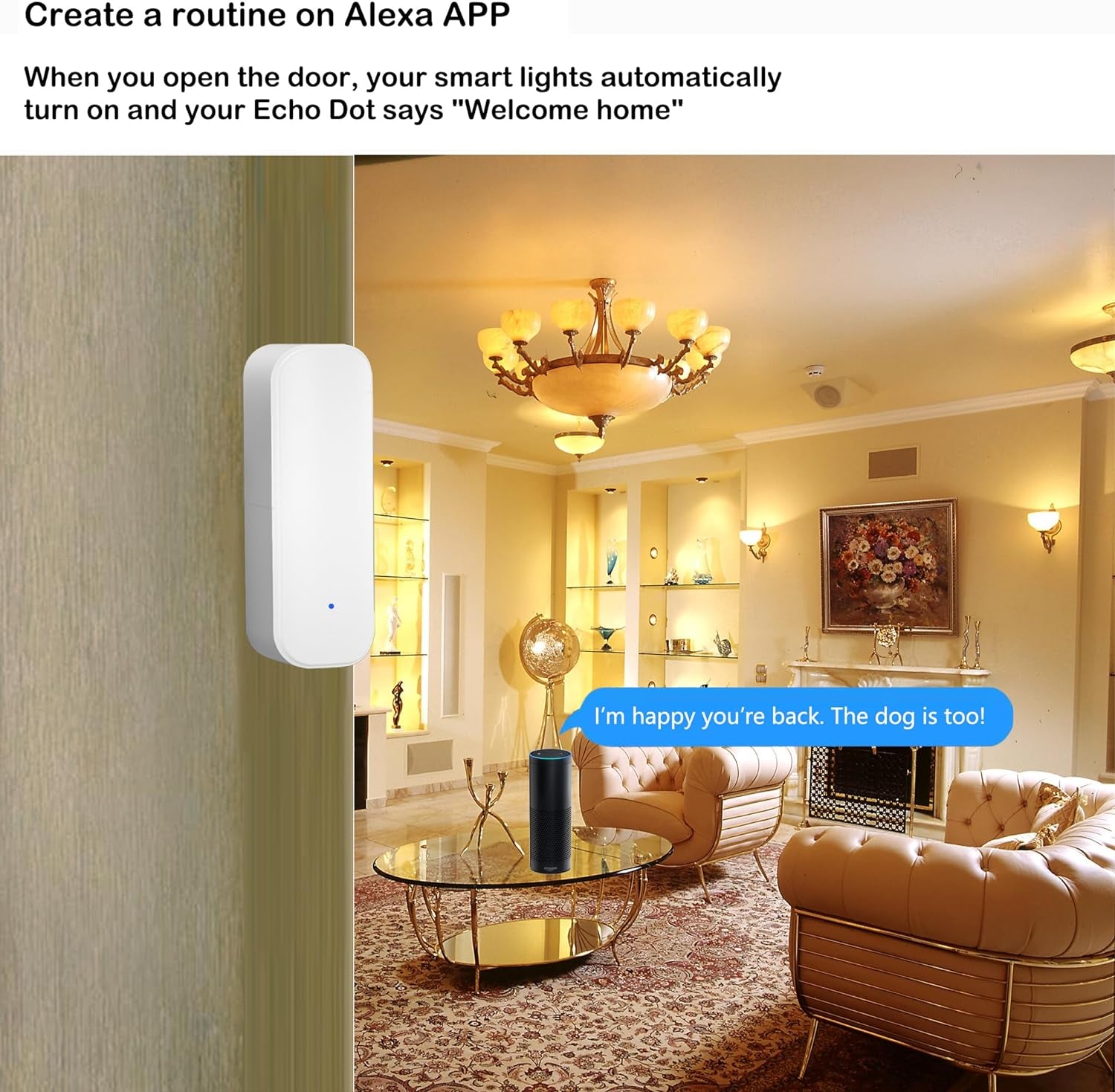 Wifi Door Sensor 2 Pack, Smart Contact Sensor with App Alerts, No Hub